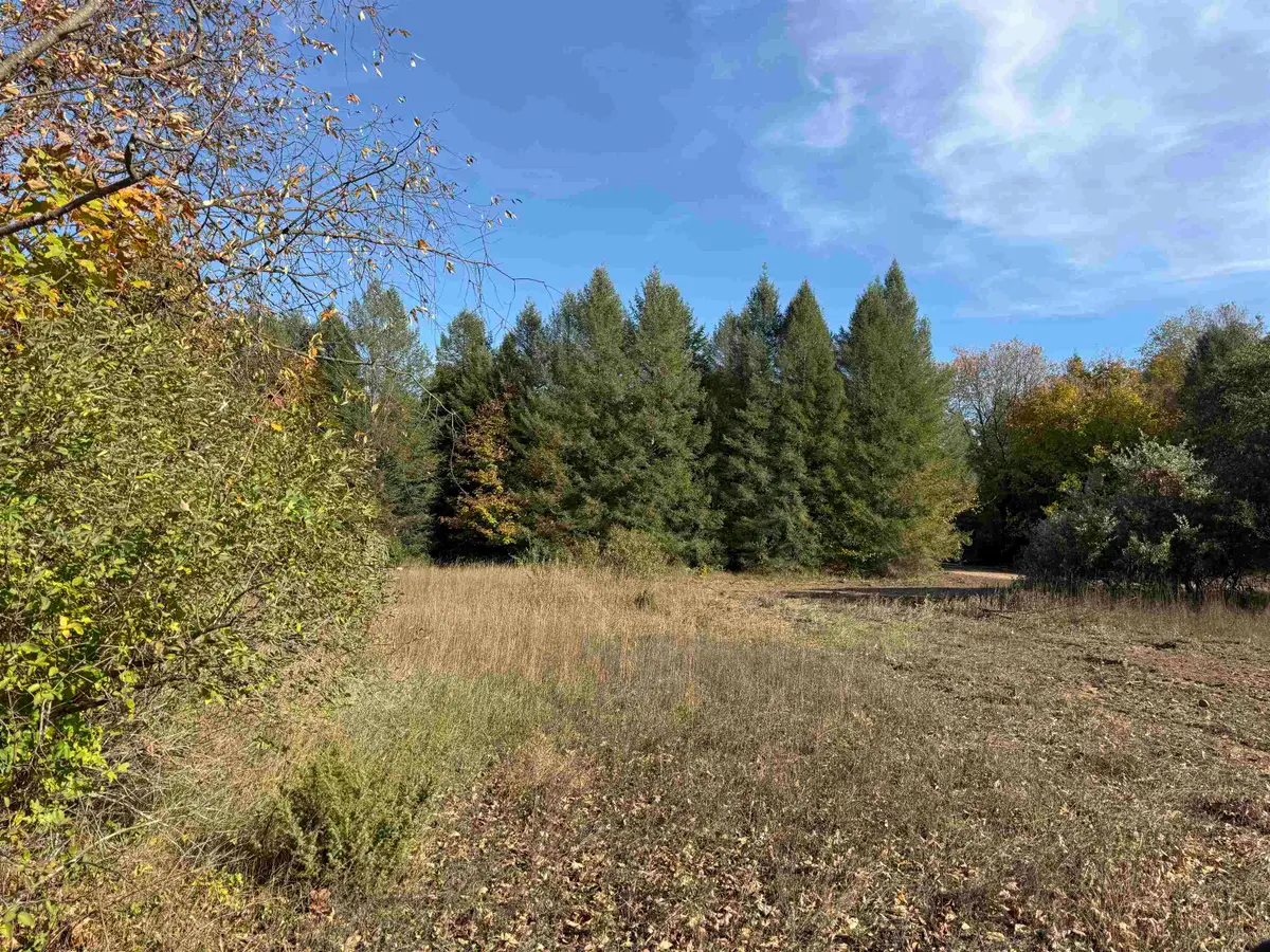 Parcel 9 S Tower, Kasson, MI 49664 - #1