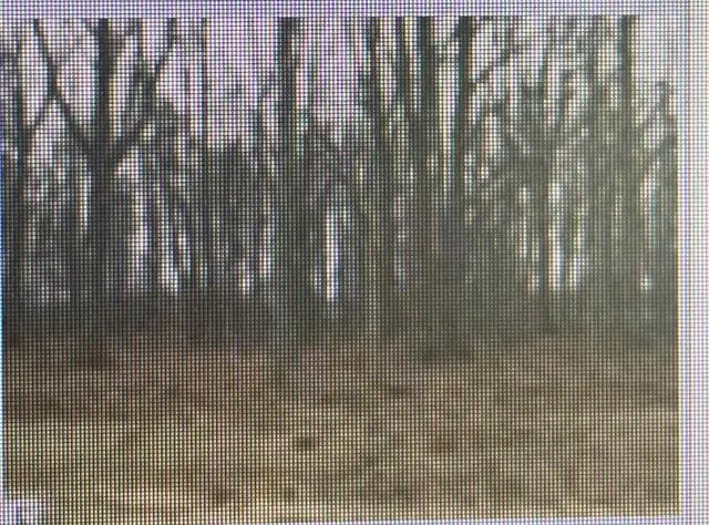 000 Ridge, Mount Pleasant, MI 48858 - #3