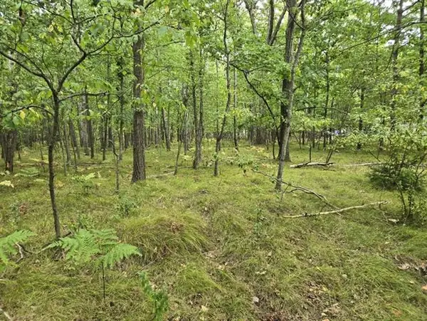 1009 Castle, LakeIsabella, MI 48893