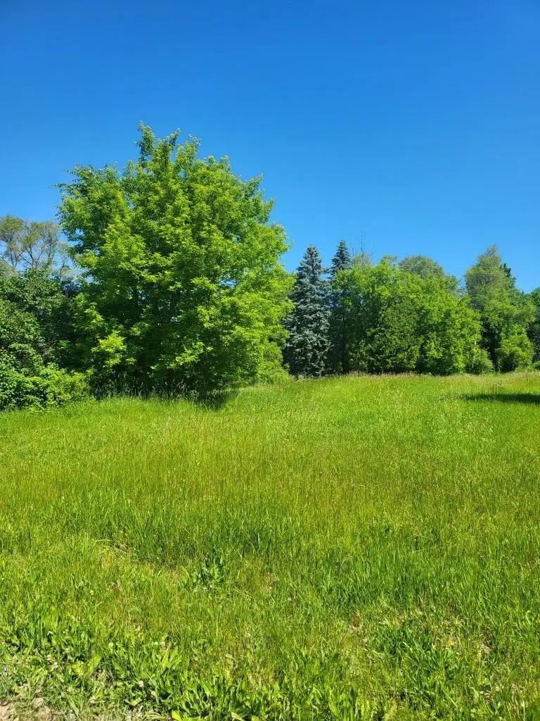 4957 E Valley, Union, MI 48858 - #2