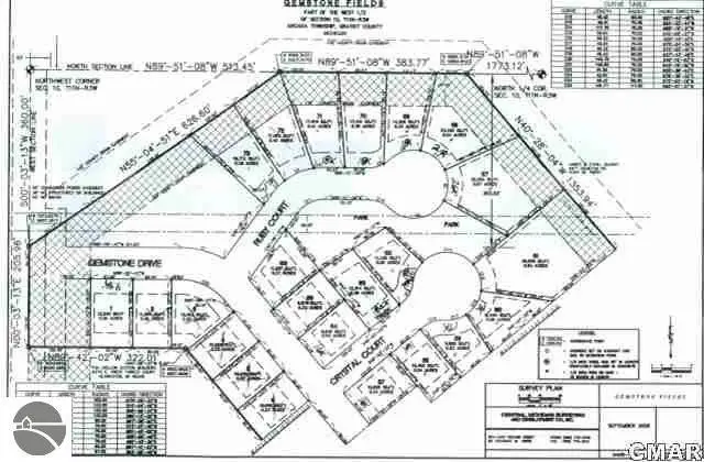 248 Ruby, Alma, MI 48801 - #1