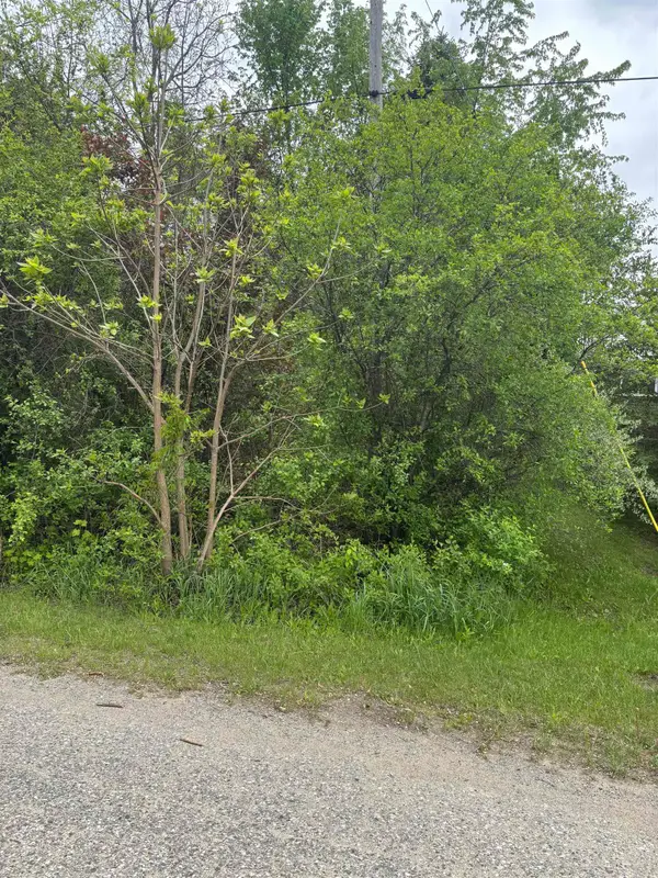 Lot 49 Leona, MtPleasant, MI 48858