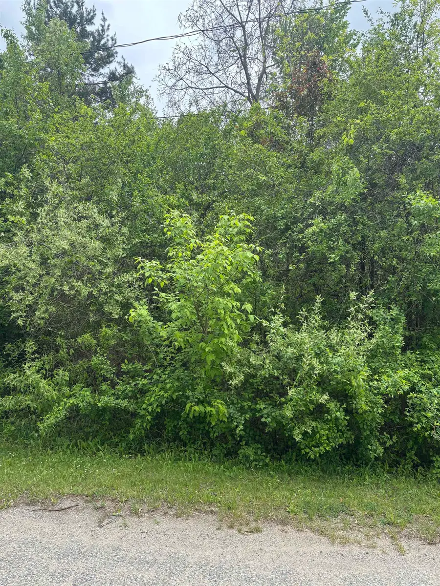 Lot 49 Leona, Mount Pleasant, MI 48858 - #2