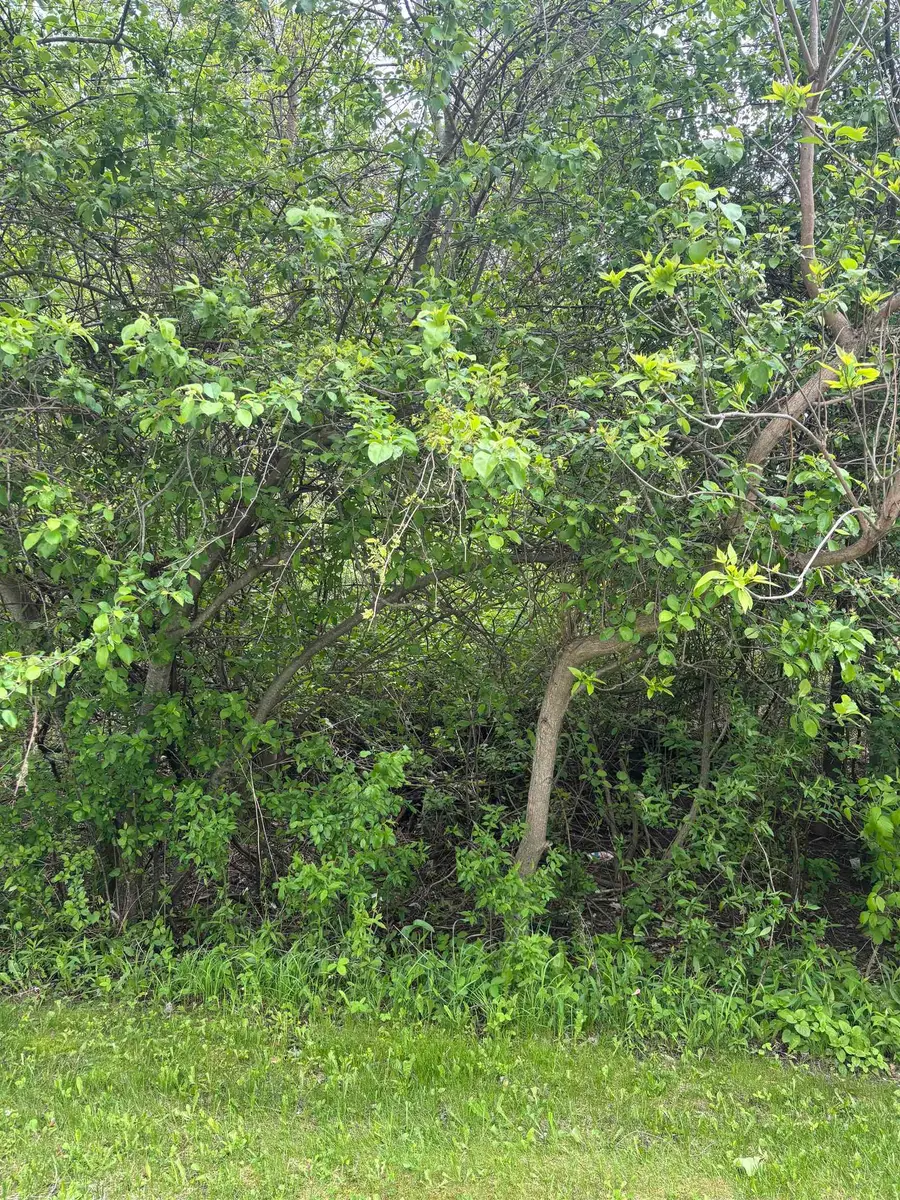 Lot 49 Leona, Mount Pleasant, MI 48858 - #3