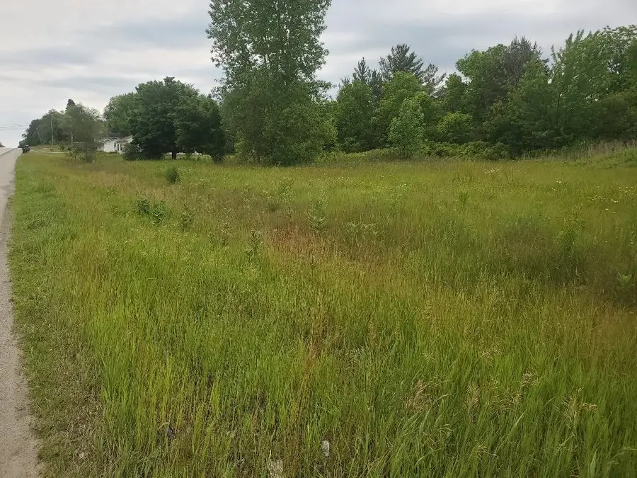 7205 E Pickard, Mount Pleasant, MI 48858 - #2