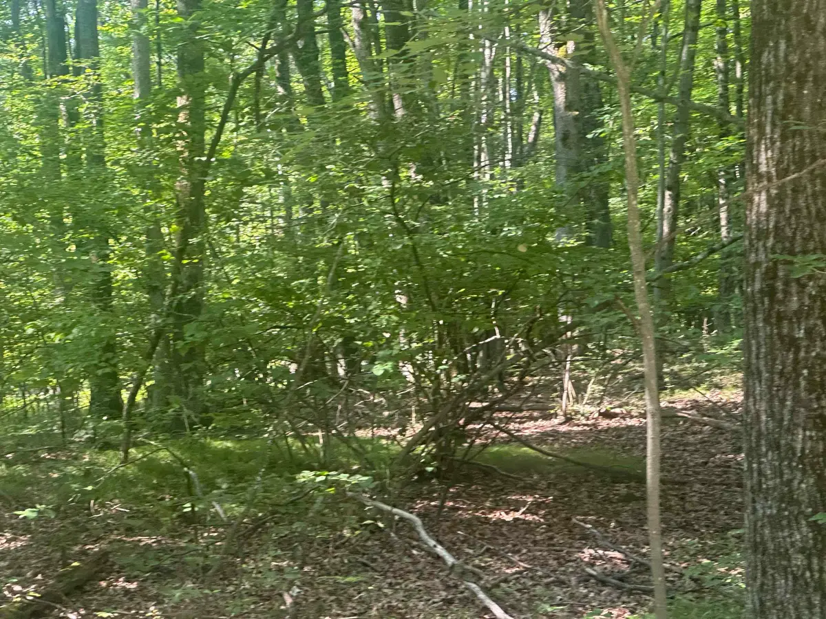 Lot # 179 Mockingbird, Farwell, MI 48622 - #1