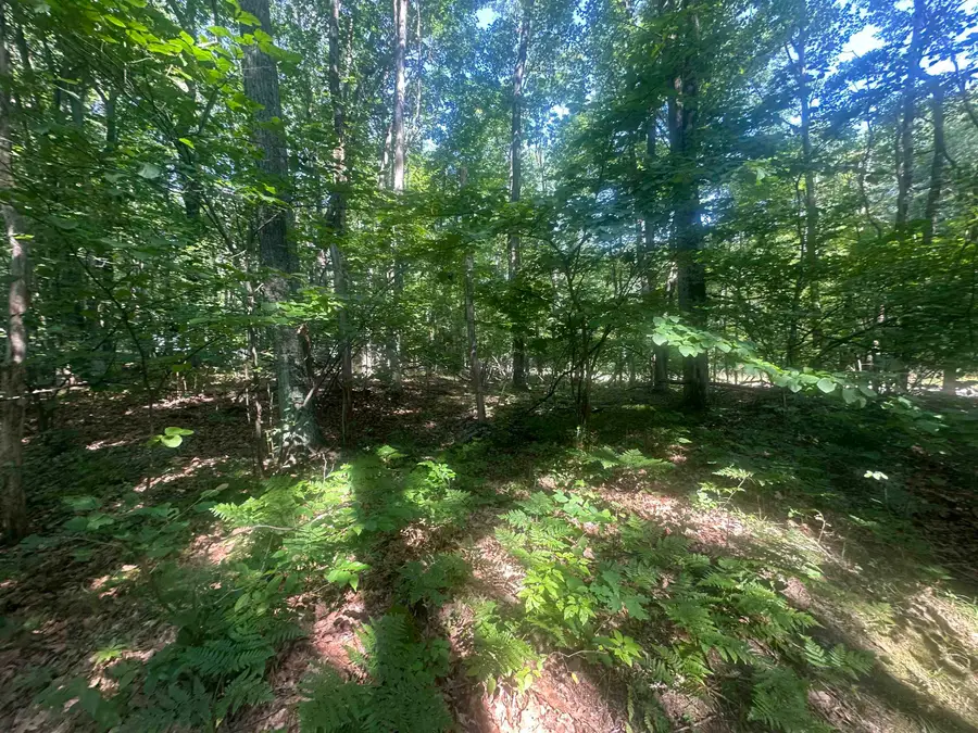 Lot # 179 Mockingbird, Farwell, MI 48622 - #2