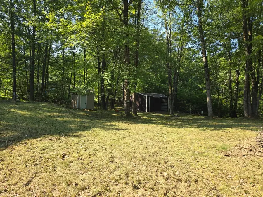 7737 Wilderness, Weidman, MI 48893 - #3
