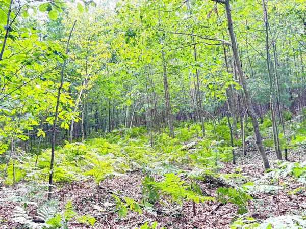 N Leaton RD, MtPleasant, MI 48858