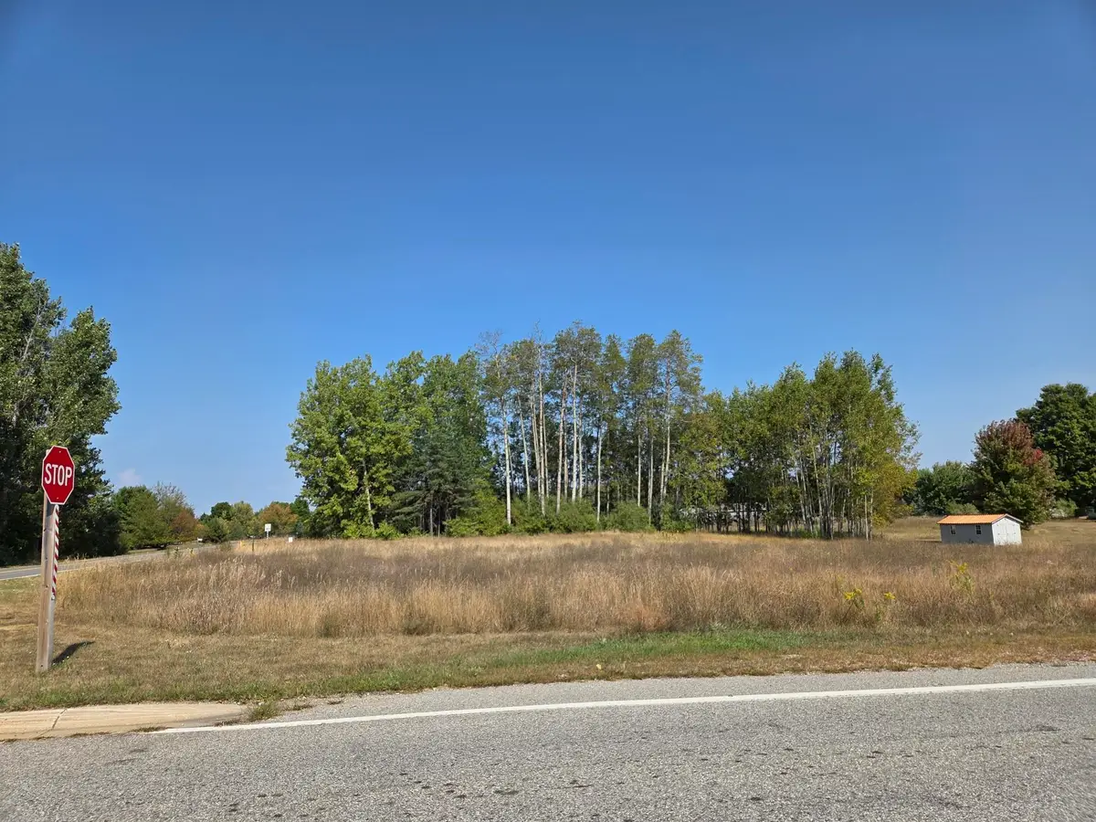 1001 El Camino Grande, Weidman, MI 48893 - #1
