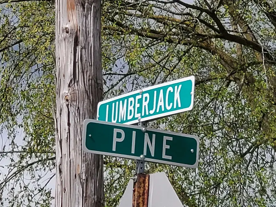 TBD N Lumberjack, Riverdale, MI 48877 - #2