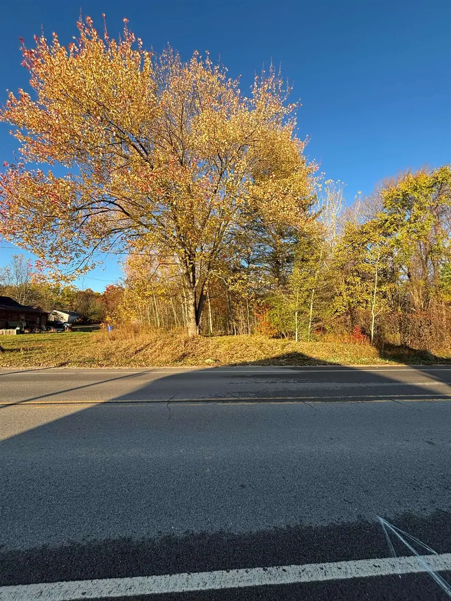 8698 Old State AVE, Farwell, MI 48622 - #3