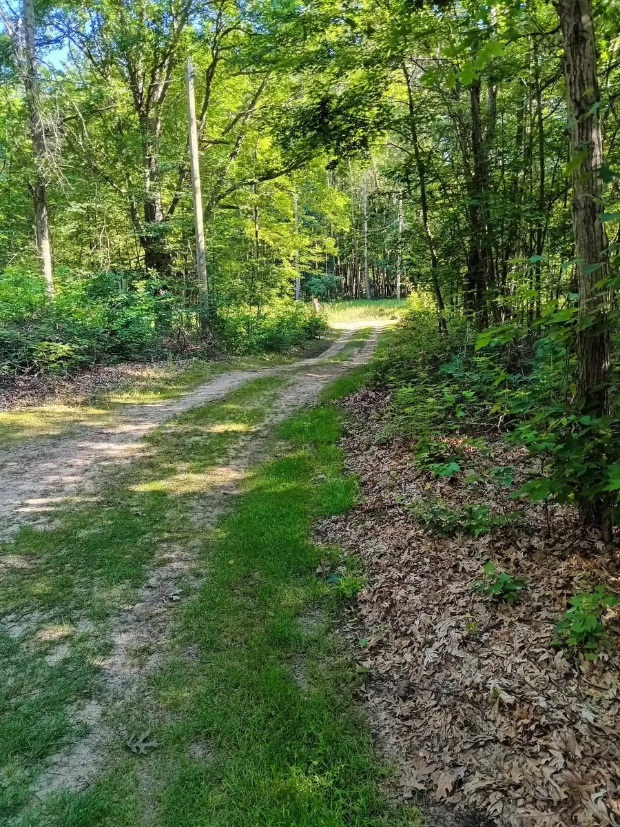 7907 W Weidman, Weidman, MI 48893 - #3