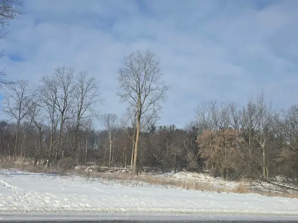 S Pine River, Ithaca, MI 48847