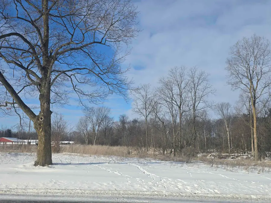 S Pine River, Ithaca, MI 48847 - #2