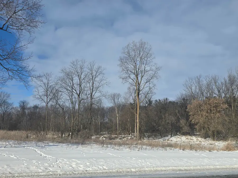 S Pine River, Ithaca, MI 48847 - #3