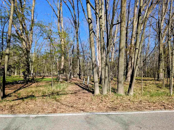 1050 Bundy, LakeIsabella, MI 48893