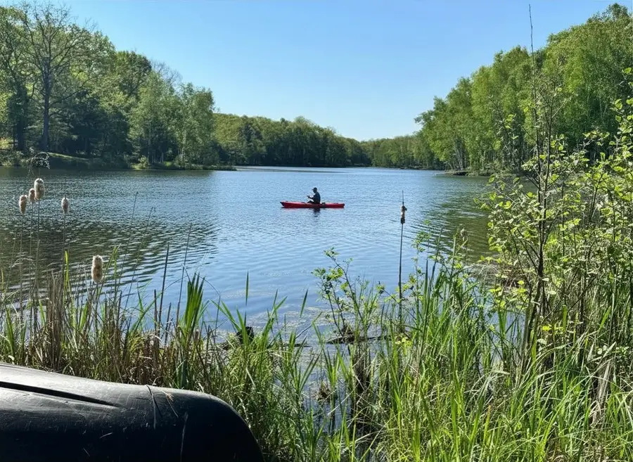 4611 Teaberry, Farwell, MI 48622 - #3