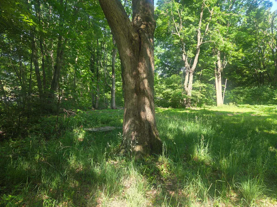 7820 Wilderness, Weidman, MI 48893 - #3
