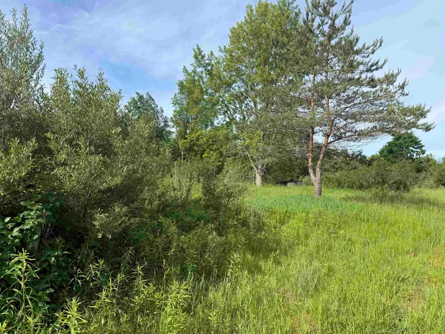 9540 S McKinley, Lake, MI 48632 - #3