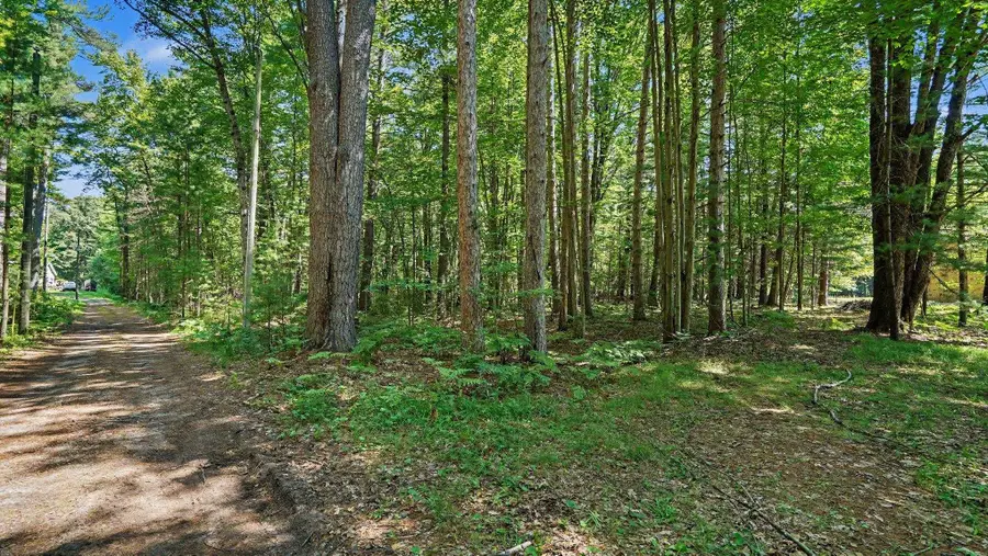 1310 W New Pine, Sanford, MI 48657 - #3