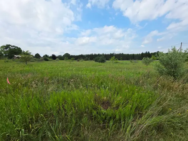 TBD W Remus RD, MtPleasant, MI 48858