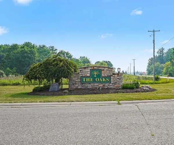 TBD Buckthorn, MtPleasant, MI 48858