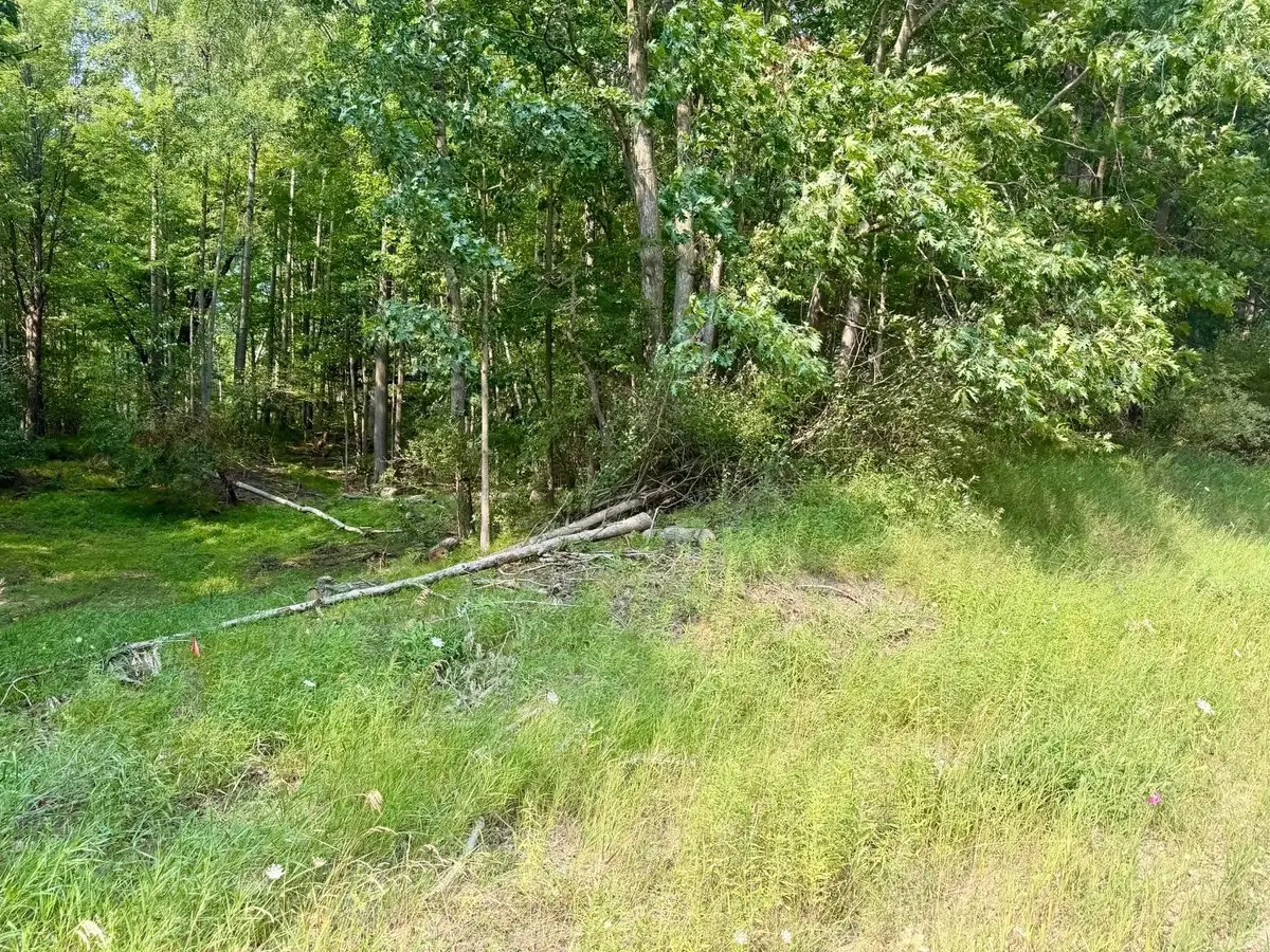 tbd River RD, Broomfield, MI 48893 - #1