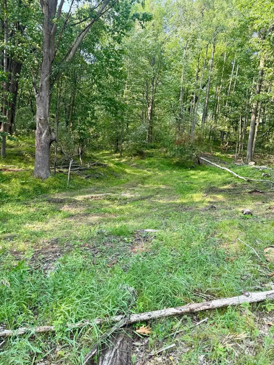 tbd River RD, Broomfield, MI 48893 - #3