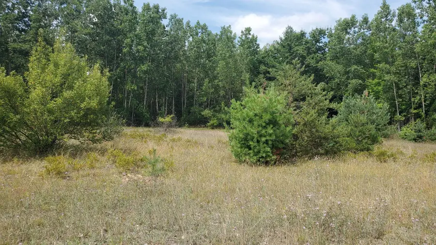 8 Sandbar, Lake, MI 48632 - #3