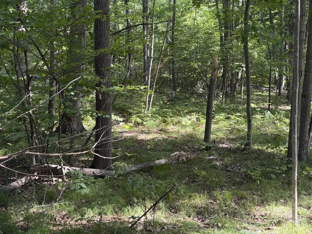 7785 Arrowhead DR, Weidman, MI 48893 - #1