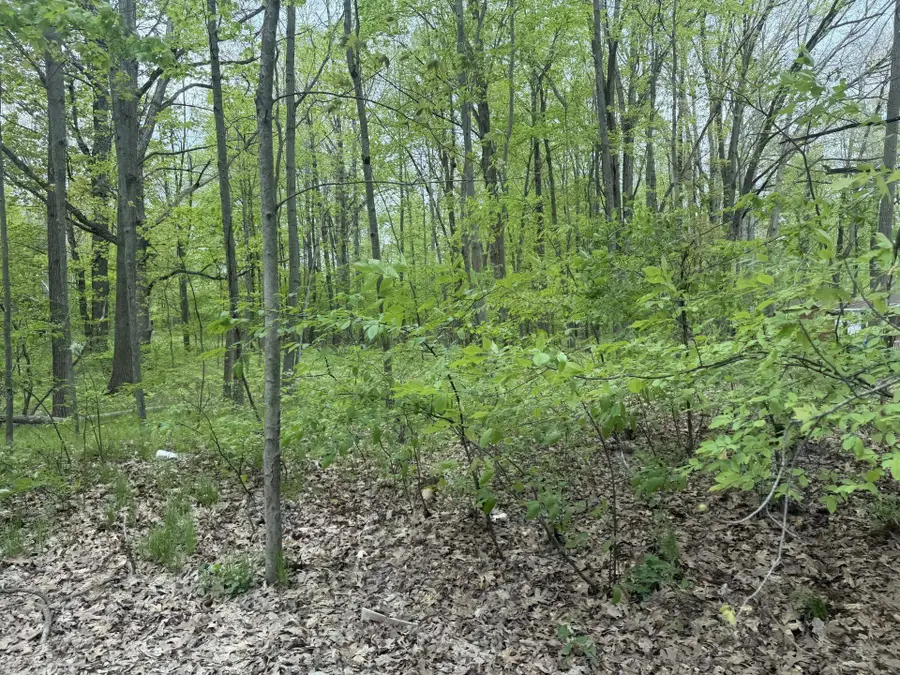 7785 Arrowhead DR, Weidman, MI 48893 - #2