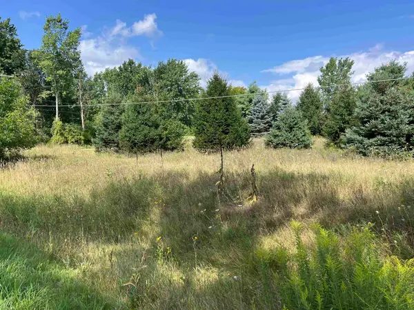 E River, MtPleasant, MI 48858