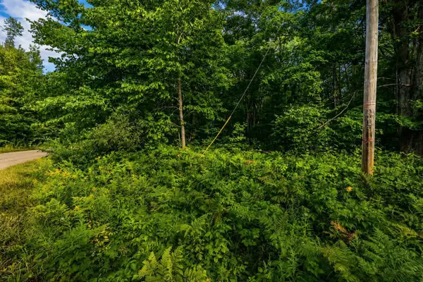tbd Timberline, Elmira, MI 49615