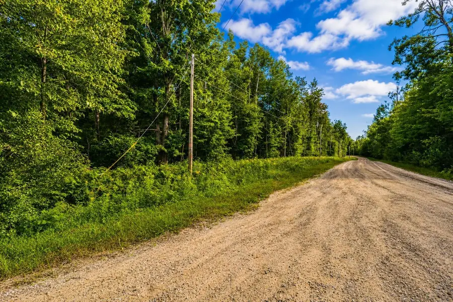 tbd Timberline, Elmira, MI 49615 - #3