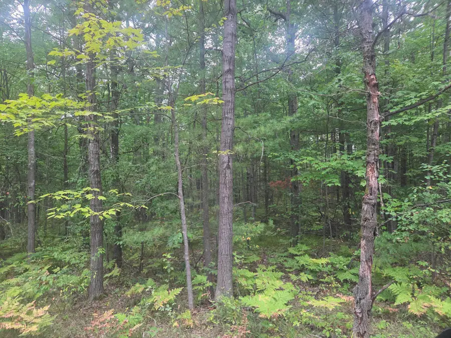 TBD 45th, Barryton, MI 49305 - #2