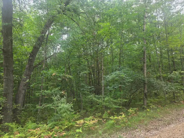 7873 Wild Oaks, Weidman, MI 48893