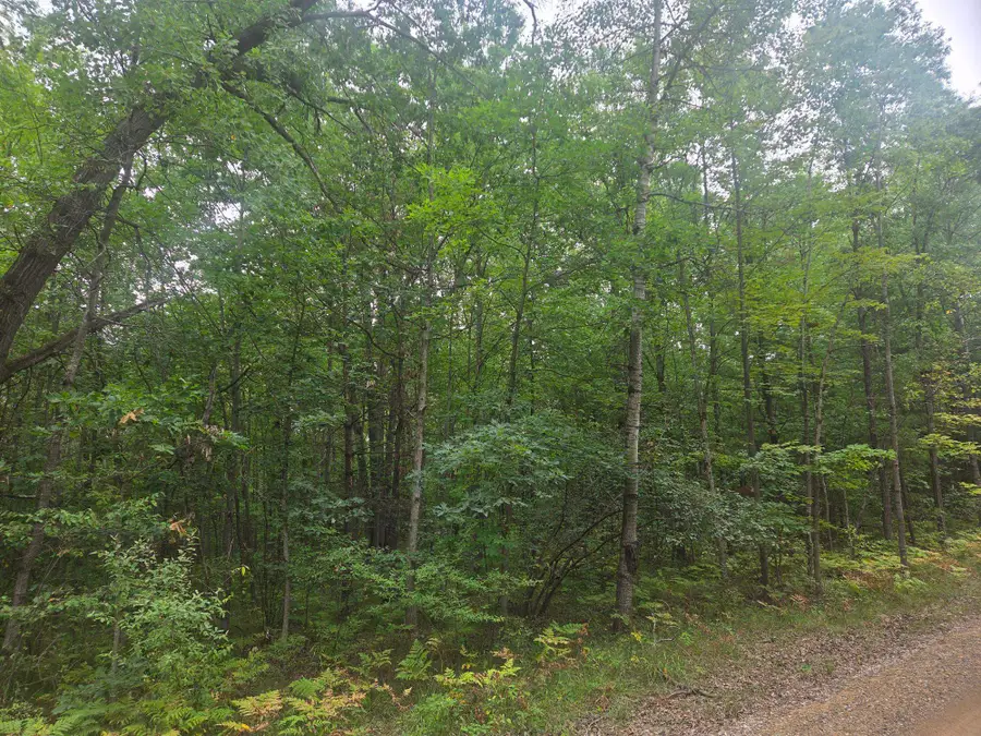 7873 Wild Oaks, Weidman, MI 48893 - #2