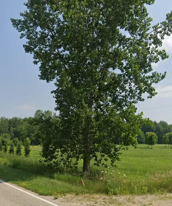 1873 S Loomis RD, MtPleasant, MI 48858