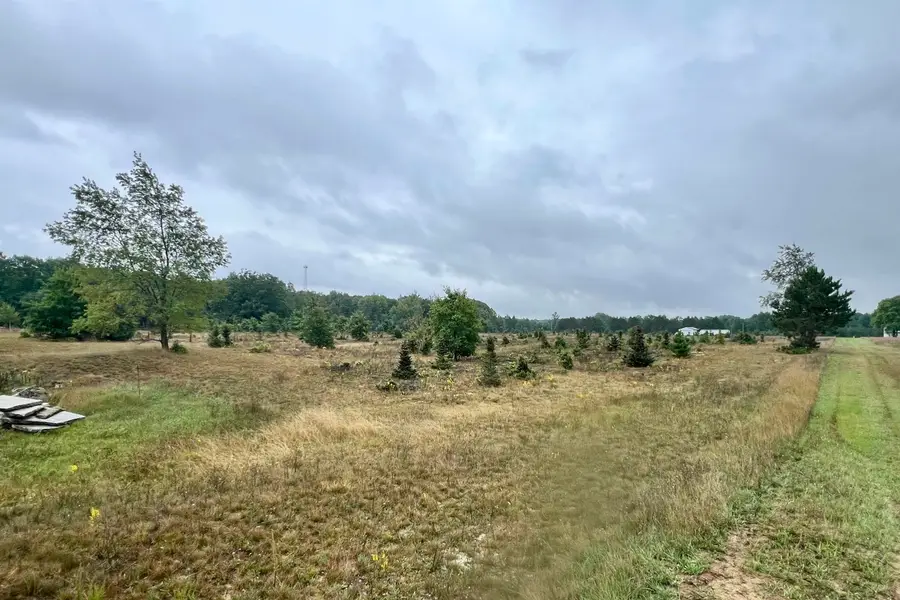 10130 Rock RD, Lake, MI 48632 - #2
