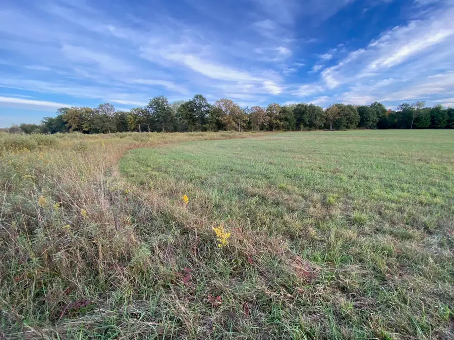 311 S Castor, Shepherd, MI 48883 - #2