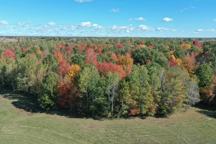3706 N Chippewa RD, Coleman, MI 48618 - #2