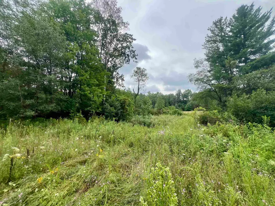 VL S Camburn ST, Stanton, MI 48888 - #2