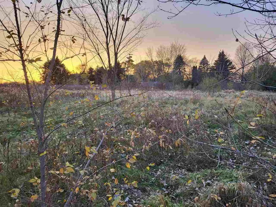 TBD Broomfield, Mount Pleasant, MI 48858 - #2