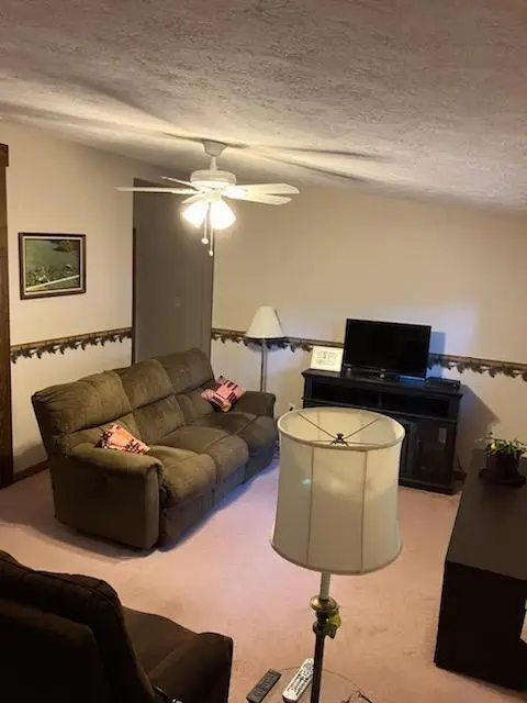 6620 Potter Road, Bear Lake, MI 49614 - #2