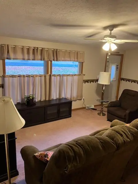 6620 Potter Road, Bear Lake, MI 49614 - #3