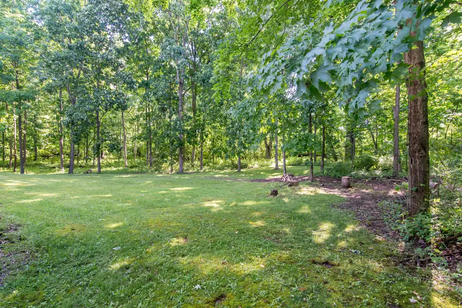 10090 King Hill Court, Dexter, MI 48130 - #3