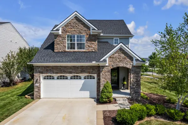 481 Hickory Bluff Lane, Chelsea, MI 48118