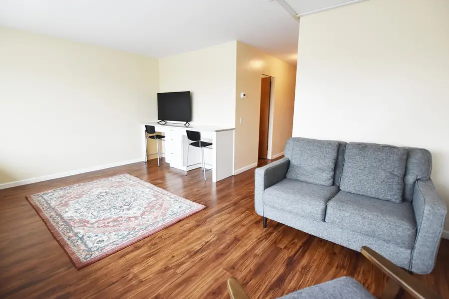 555 E William Street Unit: 11h, Ann Arbor, MI 48104 - #3