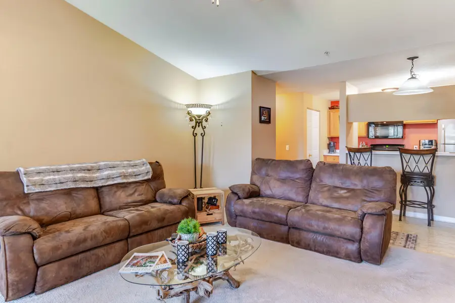 1137 Curzon Court Unit: 203, Howell, MI 48843 - #2
